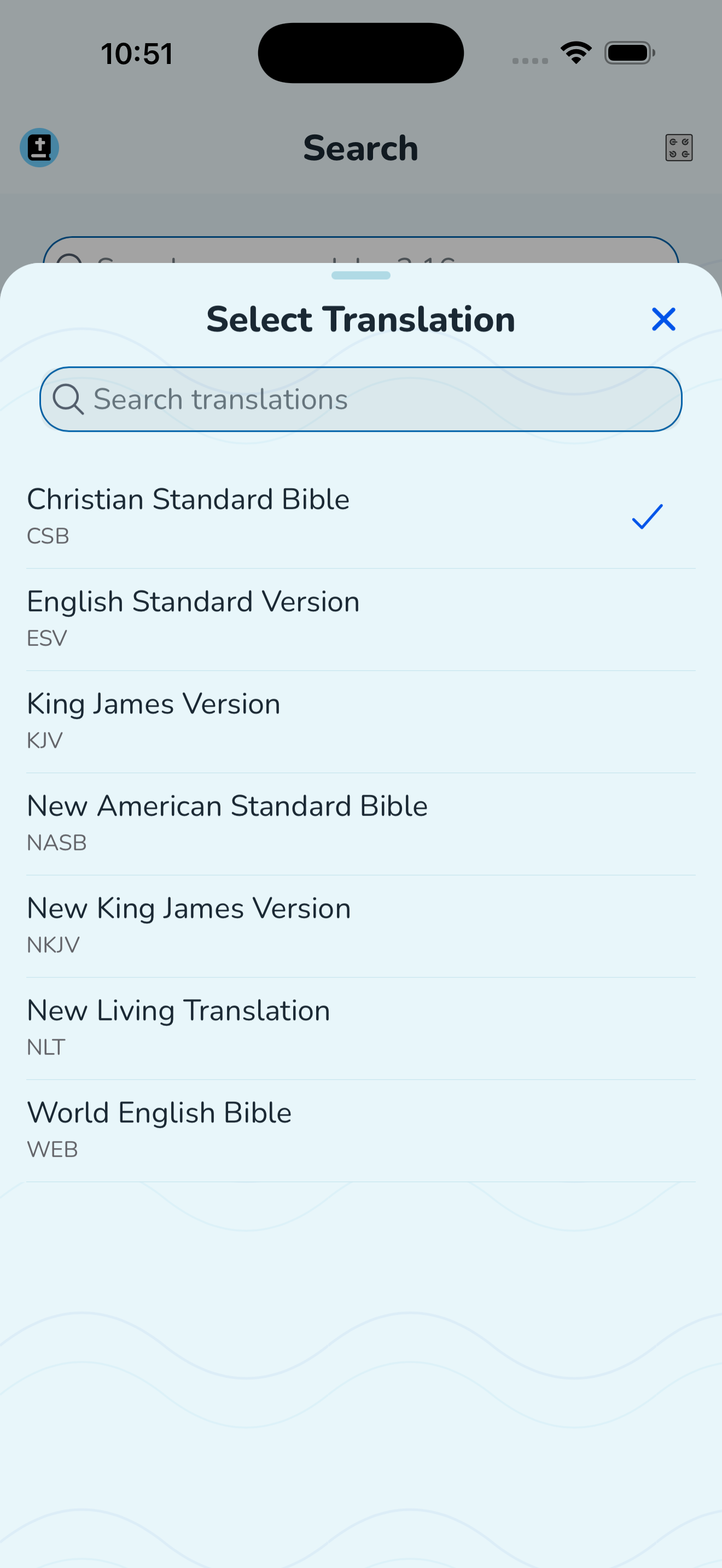 Multiple Translations screenshot